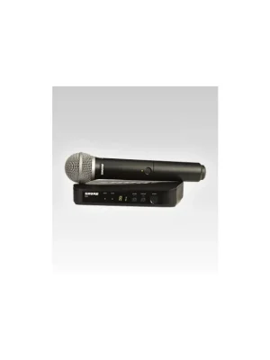 Nejlepší Volba SHURE BLX24E/PG58