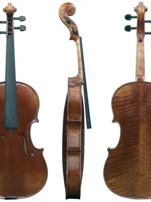 Viola Maestro6 Ihned K Objednání