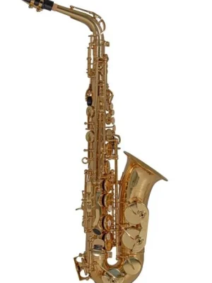 Eb-Alt Saxofon Roy Benson AS-202 Akční Nabídka