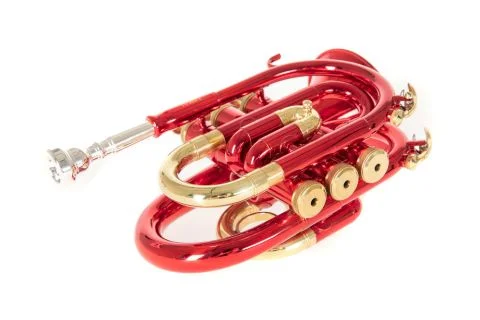 Bb – kapesní trumpeta Roy Benson PT-101R Ihned K Objednání