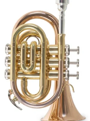 Bb – kapesní trumpeta Roy Benson PT-101G Finální Výprodej