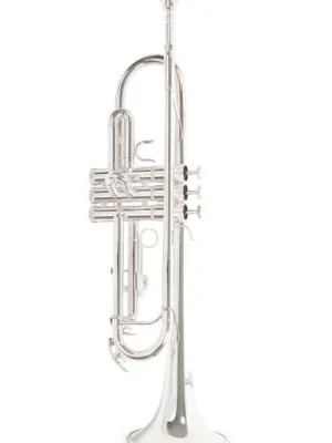 Nejlepší Volba Bb-trumpeta Roy Benson TR-202S