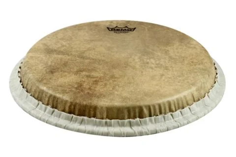 Blána pro perkuse Skyndeep Conga Pouze Dnes