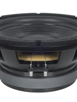B&C Speakers 12FG100 8/ohm Must-Have