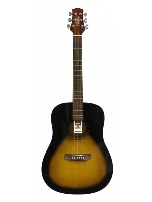 Hit Sezóny AshtonD20 TSB- kytara dreadnought