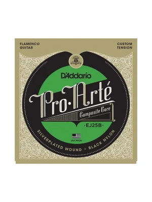 Akční Cena D'Addario EJ25B