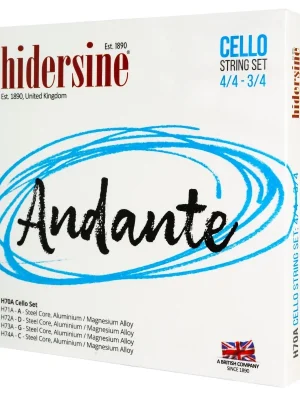 Hidersine Andante Cello Set 4/4 - 3/4 Expresní Doručení